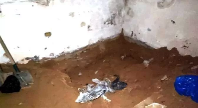 WPM - جريدة الجمهورية