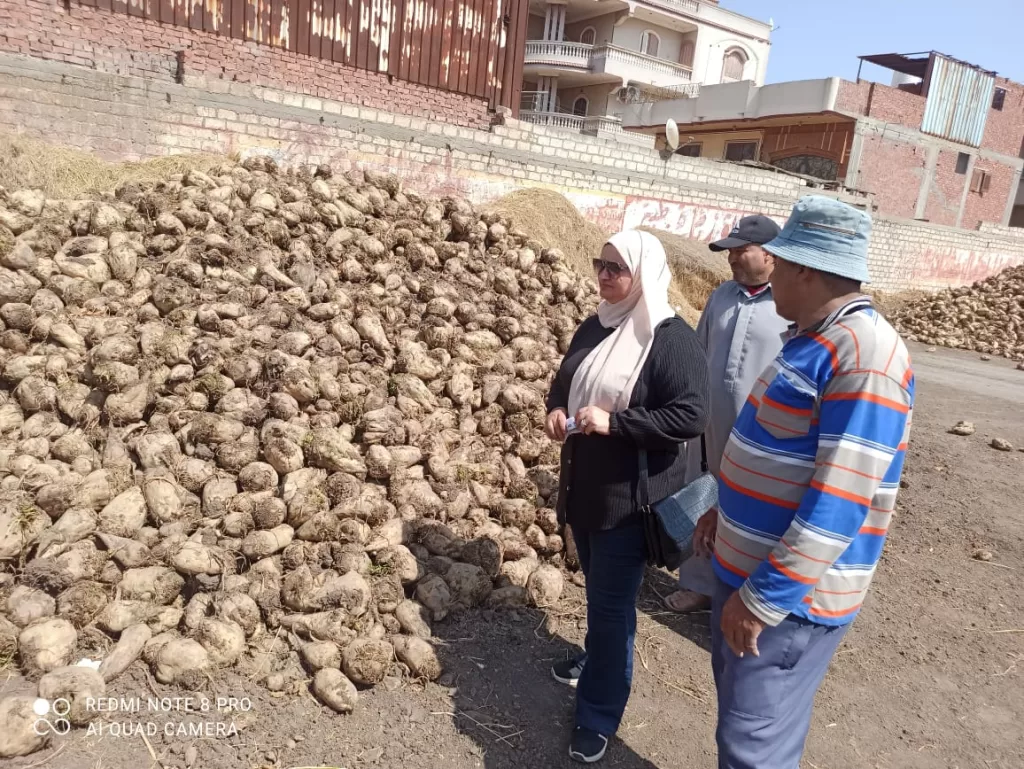 متابعة ميدانية.. محافظ الدقهلية يشرف على عمليات توريد محصول البنجر 2 - جريدة الجمهورية WhatsApp Image 2025 05 13 at 3.55.42 PM - جريدة الجمهورية