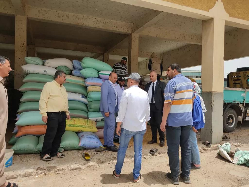 توريد أكثر من131ألف طن قمح بصوامع كفر الشيخ 2 - جريدة الجمهورية WhatsApp Image 2025 05 13 at 5.48.56 PM 1 - جريدة الجمهورية