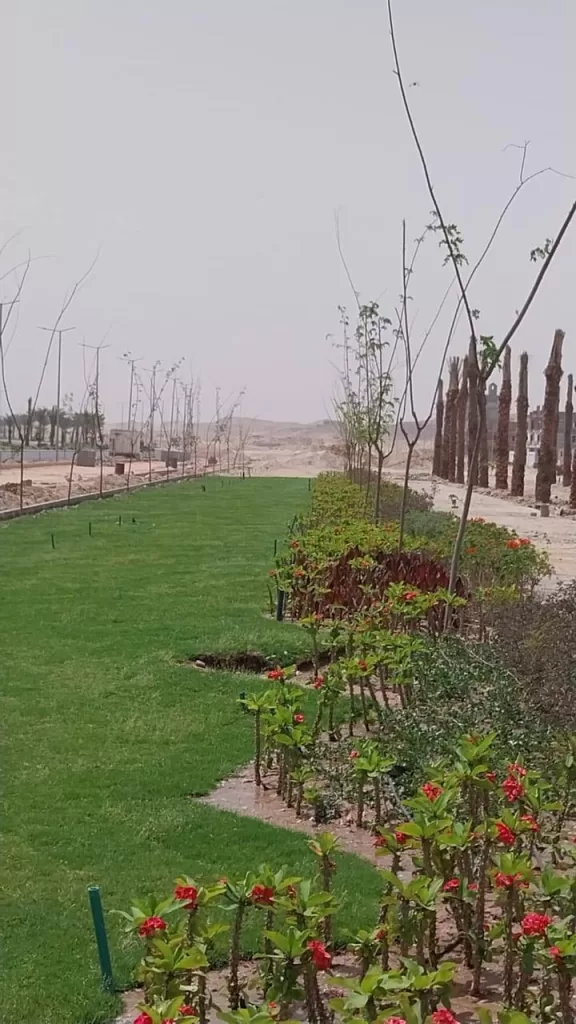 سوهاج الجديدة على خريطة المدن الخضراء.. زراعة 4000 شجرة وتطوير شبكات ري ضمن خطة التطوير 4 - جريدة الجمهورية WhatsApp Image 2025 05 24 at 1.27.33 PM 3 - جريدة الجمهورية