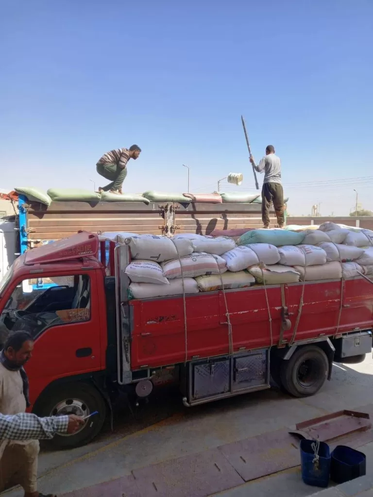 سوهاج تواصل توريد القمح المحلي لموسم 2025 بإجمالي 151 ألف طن 2 - جريدة الجمهورية WhatsApp Image 2025 05 24 at 1.28.05 PM 1 - جريدة الجمهورية