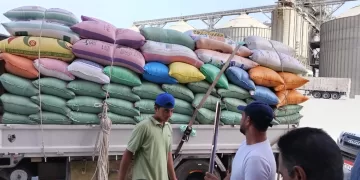 توريد 268 ألف طن قمح بشون وصوامع البحيرة