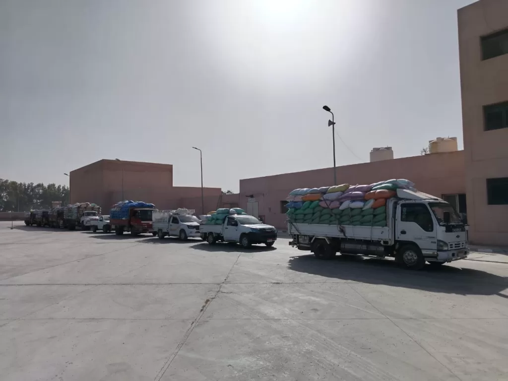 توريد 268 ألف طن قمح بشون وصوامع البحيرة 4 - جريدة الجمهورية WhatsApp Image 2025 05 24 at 4.13.31 PM - جريدة الجمهورية