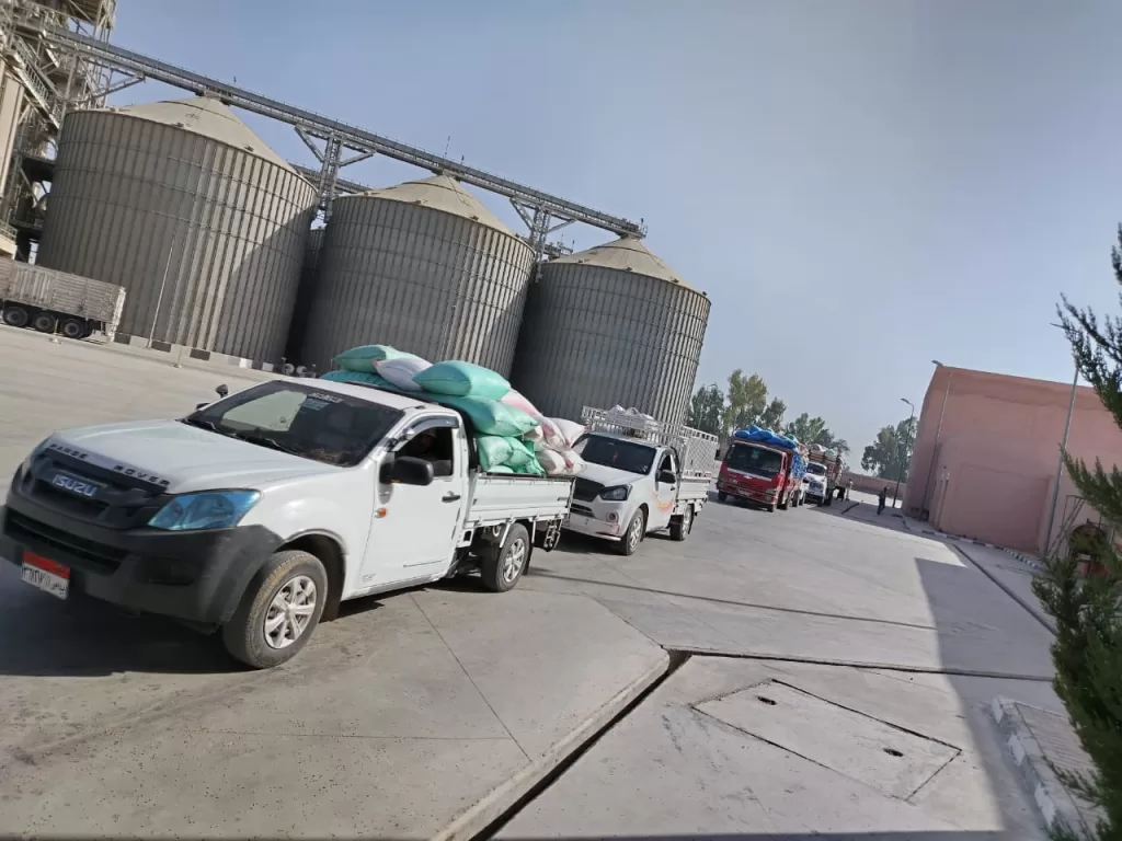 توريد 268 ألف طن قمح بشون وصوامع البحيرة 3 - جريدة الجمهورية WhatsApp Image 2025 05 24 at 4.13.31 PM 2 - جريدة الجمهورية