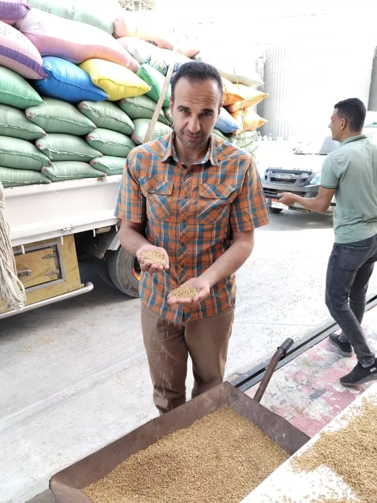 توريد 268 ألف طن قمح بشون وصوامع البحيرة 5 - جريدة الجمهورية WhatsApp Image 2025 05 24 at 4.13.32 PM 1 - جريدة الجمهورية