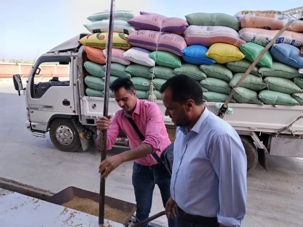 توريد 268 ألف طن قمح بشون وصوامع البحيرة 6 - جريدة الجمهورية WhatsApp Image 2025 05 24 at 4.13.32 PM - جريدة الجمهورية