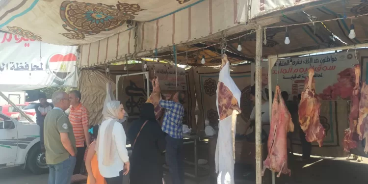 تطوير الخدمات الصحية.. «وكيل الطب العلاجي» يوجه بتسريع تجهيزات مستشفى ميت غمر