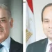 تعزيز التشاور والتنسيق بين مصر وباكستان  لتحقيق الاستقرار الإقليمى