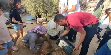 في يوم مكافحة التصحر والجفاف..«أصحاب البصيرة» يزرعون «بذور الأمل» في العريش