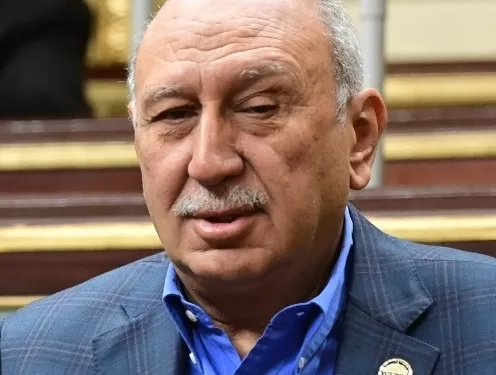 النائب أحمد عثمان: بيان الخارجية يؤكد حرص مصر على أمنها القومي ودعمها التاريخي لفلسطين