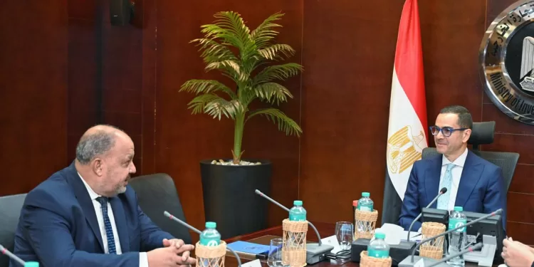 وزير الاستثمار يبحث مع شعبة الأقطان تحديات زراعة وتصدير القطن المصري 1 - جريدة الجمهورية وزير الاستثمار يبحث مع شعبة الأقطان تحديات زراعة وتصدير القطن المصري