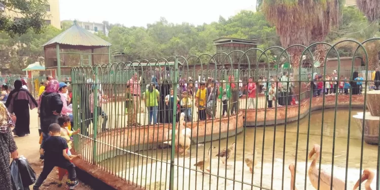 «زيزو».. أرقام وأحلام