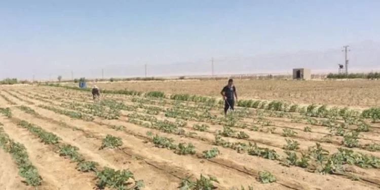 «بلعيد» يقترب من «القلعة البيضاء»