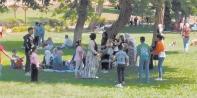 «ريبيرو» راض عن الودية.. و«تريزيجيه» يعدد مكاسب الأهلى