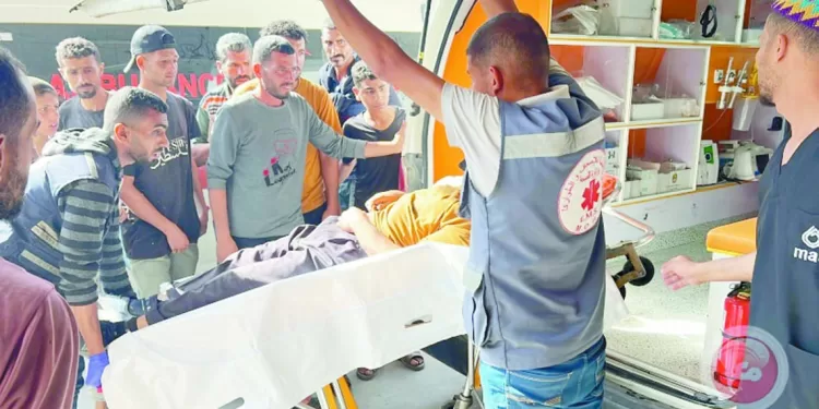 «تريسى».. ضحية انتصار «بايرن» الكاسح على «أوكلاند»