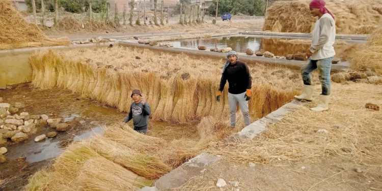 أزمة التأشيرة تبعد «السومة» عن الوداد أمام مانشستر سيتى