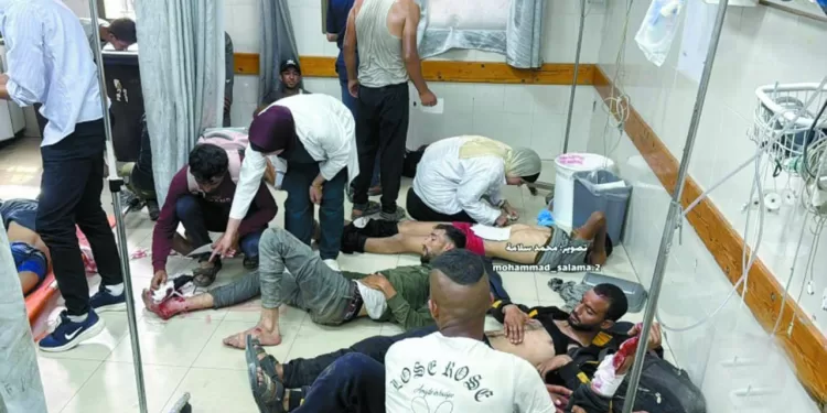 الزمالك يغازل «عبدالقادر»