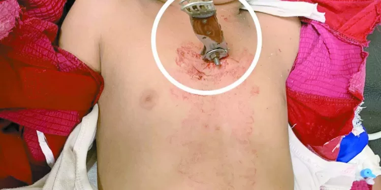 «فيصل وبن شرقى» على رادار بيراميدز