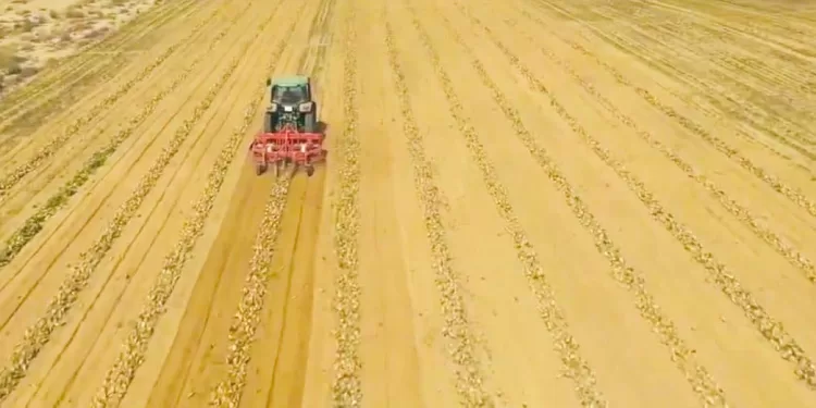 الزمالك يبحث عن عروض لدونجا وحسام أشرف 