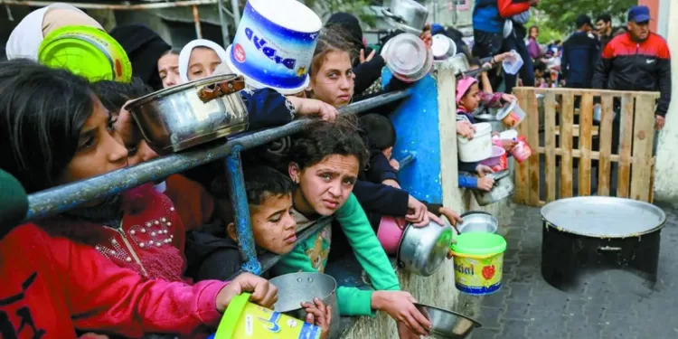 صدام بين «ماييلى» وبيراميدز «الأناكوندا» يبتعد.. «صابر» يقترب من «ميت عقبة»