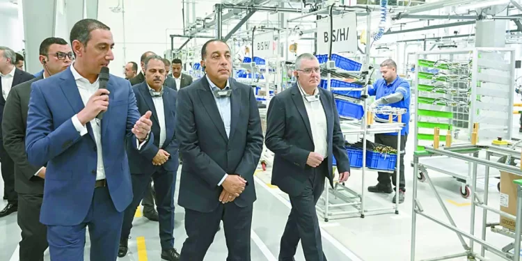 الزمالك حائر بين «البرتغالى والبلجيكى»