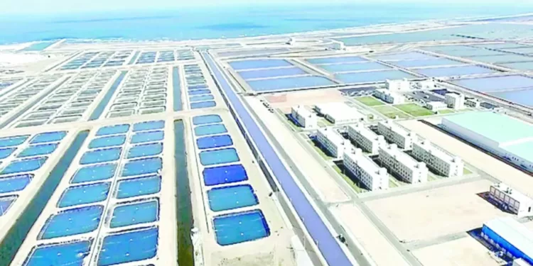 جامعة القاهرة.. تفوق علمى وتقدم عالمى