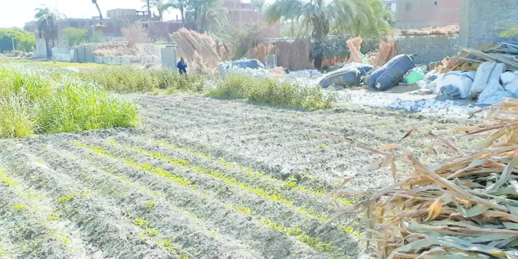 الحسم يحمى الأراضى الزراعية: التطبيق السريع للقانون.. سلاح الدولة لمواجهة مخالفات البناء 1 - جريدة الجمهورية الحسم يحمى الأراضى الزراعية: التطبيق السريع للقانون.. سلاح الدولة لمواجهة مخالفات البناء