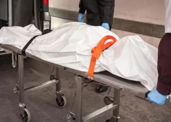 المـوت قَهْـرًا.. شاب يُنهي حياة «مهندس» بصفعة على وجهه أمام ابنته 3 - جريدة الجمهورية رجل فقد عقله.. «مربي الأجيال» مزق جسد جاره بـ20 طعنة أمام الأهالي!