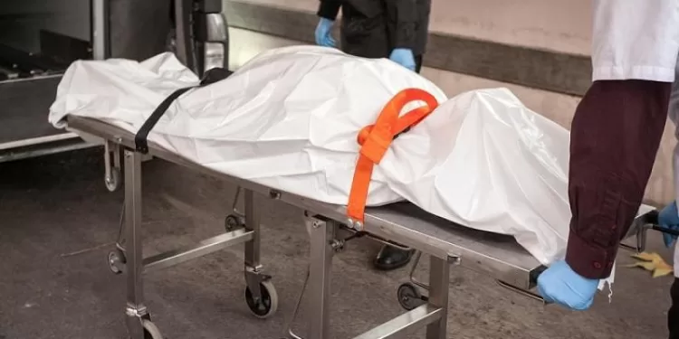 رجل فقد عقله.. «مربي الأجيال» مزق جسد جاره بـ20 طعنة أمام الأهالي! 1 - جريدة الجمهورية رجل فقد عقله.. «مربي الأجيال» مزق جسد جاره بـ20 طعنة أمام الأهالي!