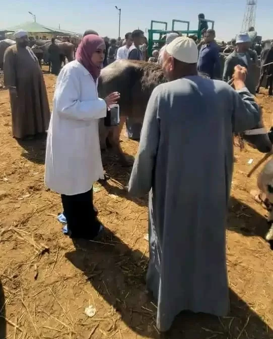الطب البيطري يشدد قبضته على أسواق الماشية بالإسماعيلية قبل عيد الأضحى 3 - جريدة الجمهورية WhatsApp Image 2025 06 01 at 9.55.57 PM - جريدة الجمهورية