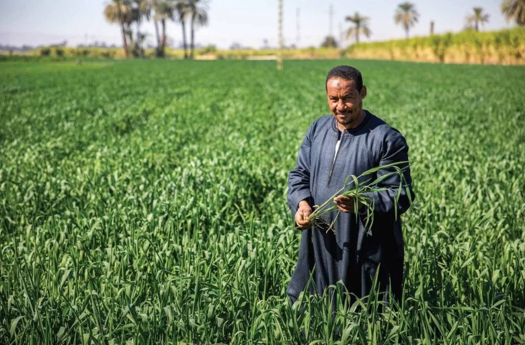 من التحديات إلى الإنجازات.. كيف غيرت وزارة البيئة وجه مصر خلال 7 سنوات؟ 34 - جريدة الجمهورية WhatsApp Image 2025 06 04 at 5.26.36 PM - جريدة الجمهورية