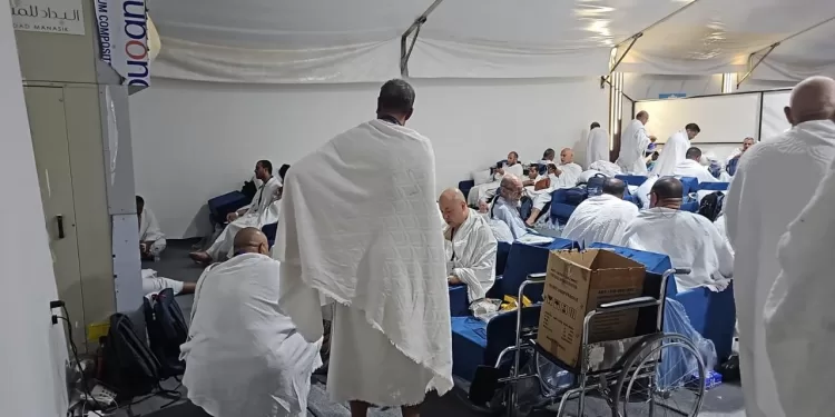 بالفيديو.. وصول طلائع حجاج السياحة إلى عرفات لأداء الركن الأعظم من الحج