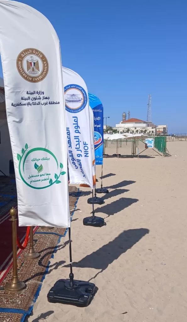 حملات لتنظيف الشواطئ وقاع البحر بعدد من شواطئ الإسكندرية 6 - جريدة الجمهورية WhatsApp Image 2025 06 05 at 12.37.05 PM - جريدة الجمهورية