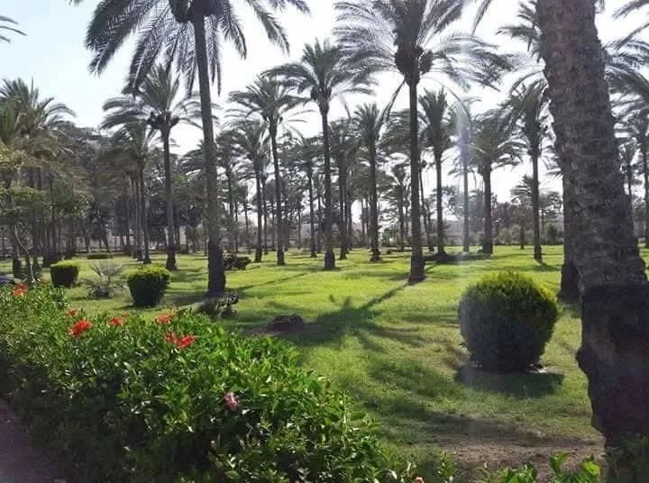 بحر إسكندرية وحدائقها ومتاحفها فى انتظار المصطافين والزائرين أول أيام «الأضحى» 6 - جريدة الجمهورية WhatsApp Image 2025 06 05 at 12.48.04 PM 2 - جريدة الجمهورية