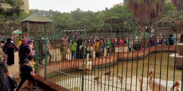 إقبال غير مسبوق على حديقة الحيوان بالزقازيق في ثاني أيام عيد الأضحى