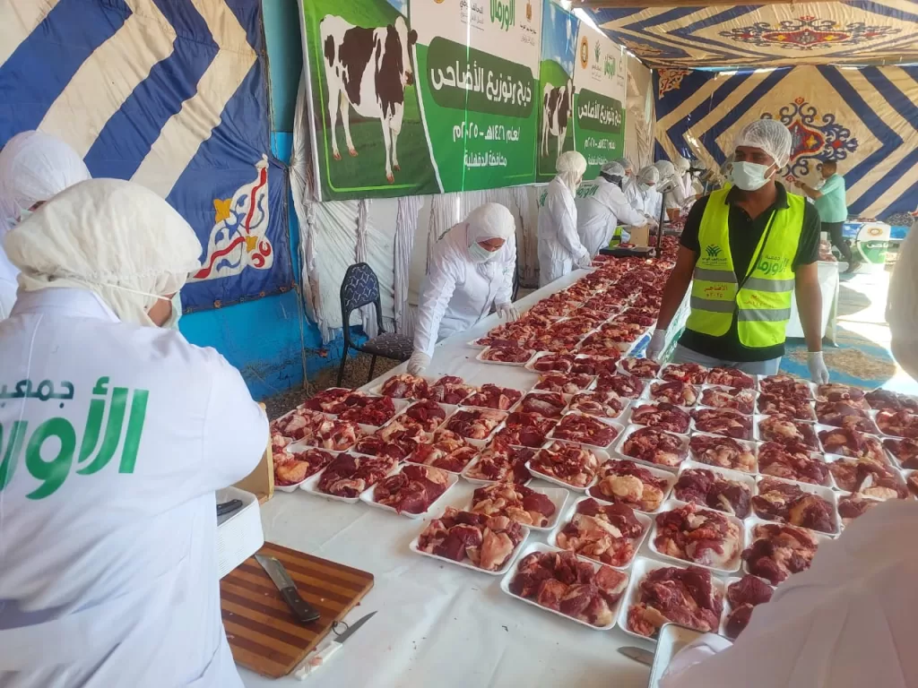 «الأورمان» تواصل ذبح وتوزيع لحوم الأضاحي بالدقهلية في ثاني أيام العيد 3 - جريدة الجمهورية WhatsApp Image 2025 06 07 at 12.23.00 PM - جريدة الجمهورية