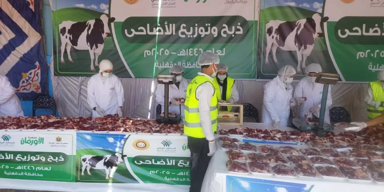 «الأورمان» تواصل ذبح وتوزيع لحوم الأضاحي بالدقهلية في ثاني أيام العيد
