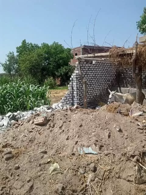 الشرقية تواصل جهودها في إزالة التعديات خلال أيام عيد الأضحى 3 - جريدة الجمهورية WhatsApp Image 2025 06 07 at 3.36.16 PM - جريدة الجمهورية
