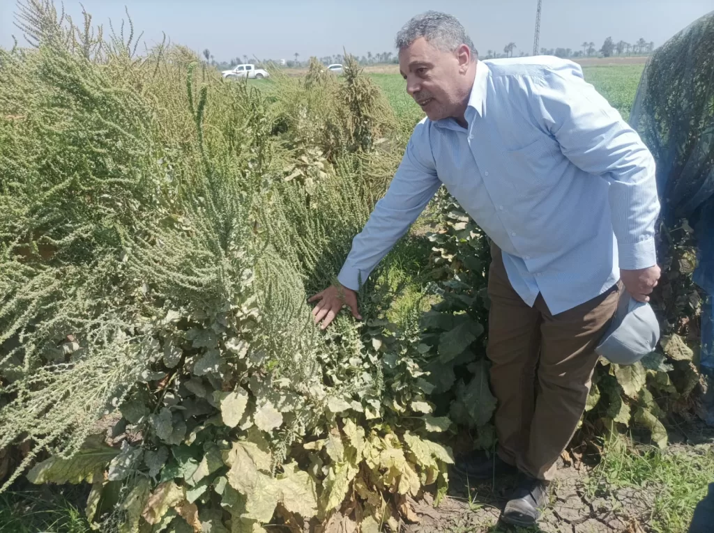 متابعة ميدانية.. مدير معهد أمراض النباتات يزور محطة سدس خلال أيام العيد 5 - جريدة الجمهورية WhatsApp Image 2025 06 08 at 7.20.03 PM - جريدة الجمهورية