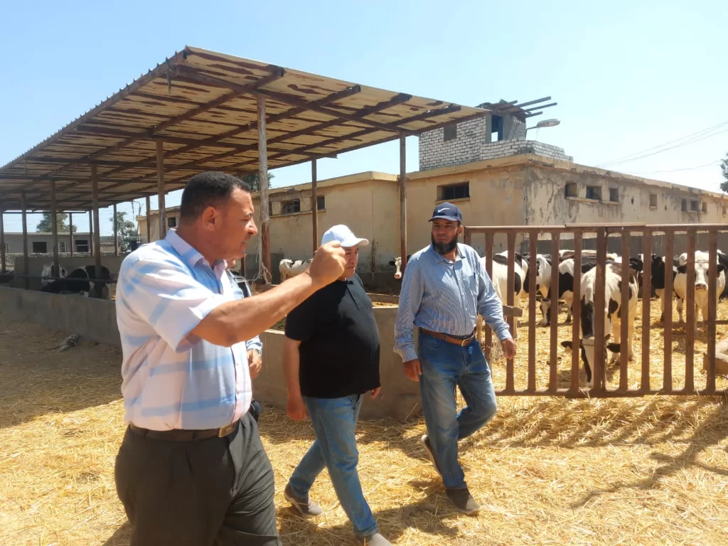 من جميزة إلى شندويل وسخا.. جولة ميدانية لقيادات الزراعة خلال إجازة عيد الأضحى 4 - جريدة الجمهورية WhatsApp Image 2025 06 08 at 7.33.27 PM 1 - جريدة الجمهورية