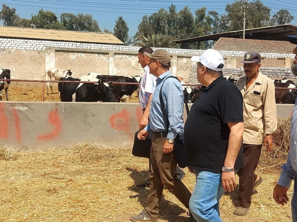 من جميزة إلى شندويل وسخا.. جولة ميدانية لقيادات الزراعة خلال إجازة عيد الأضحى 3 - جريدة الجمهورية WhatsApp Image 2025 06 08 at 7.33.27 PM 2 - جريدة الجمهورية