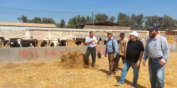 متابعة ميدانية.. مدير معهد أمراض النباتات يزور محطة سدس خلال أيام العيد