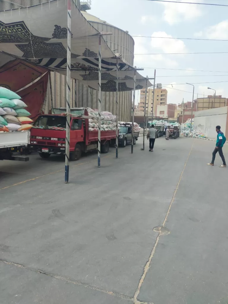 استمرار توافد محصول القمح وتوريد 271 ألف طن بالدقهلية 2 - جريدة الجمهورية WhatsApp Image 2025 06 09 at 2.30.21 PM - جريدة الجمهورية