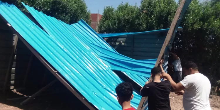 محافظ الدقهلية: لا تهاون في إزالة التعديات على الأراضي الزراعية أو العمرانية غير المرخصة