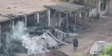 كارثة بيئية تهدد أهالي ميت كنانة بالقليوبية: أطنان من «أسود الكربون» منتهي الصلاحية تُخزَّن بمزرعة دواجن