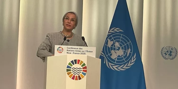 د. ياسمين فؤاد: نعمل على مضاعفة المحميات الطبيعية.. ومصر شريك أساسي في الحفاظ على البيئة العالمية