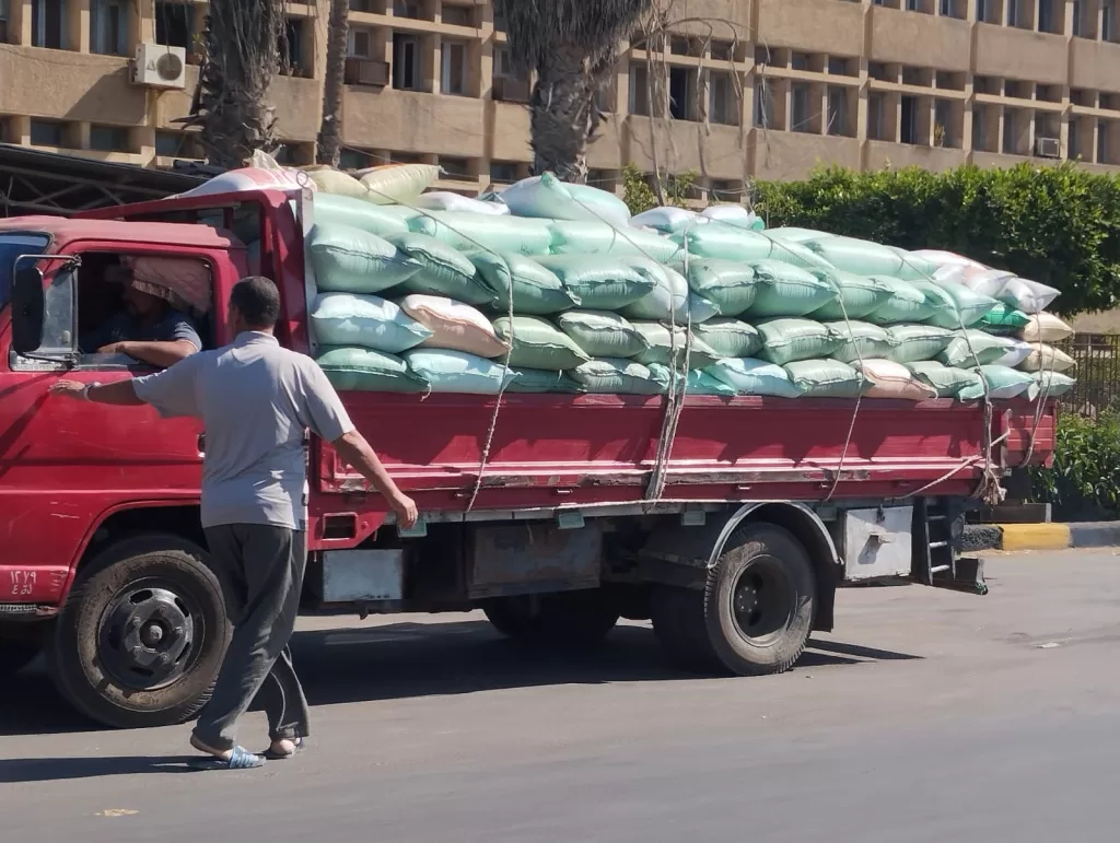 محافظ كفر الشيخ: توريد 223 ألف طن قمح محلي.. وصرف مستحقات المزارعين في 48 ساعة 2 - جريدة الجمهورية WhatsApp Image 2025 06 12 at 11.43.37 PM - جريدة الجمهورية