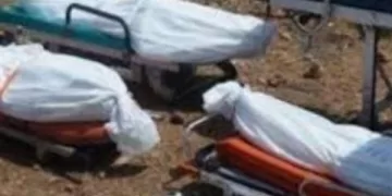 الأبناء يدفعون ثمن خلافات الأباء وتهورهم.. يتخلص من أولاده الثلاثة بلا رحمة وينتحر