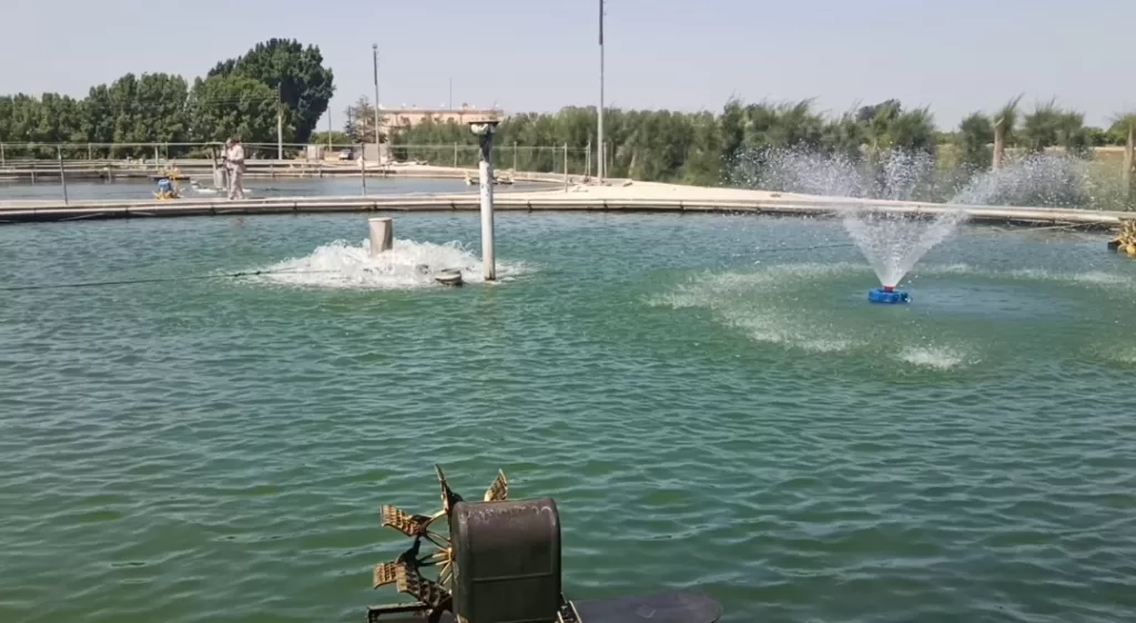 التزام مصر بالزراعة المستدامة: رؤية شاملة لمواجهة التغيرات المناخية 4 - جريدة الجمهورية WhatsApp Image 2025 06 17 at 5.24.03 PM 1 - جريدة الجمهورية