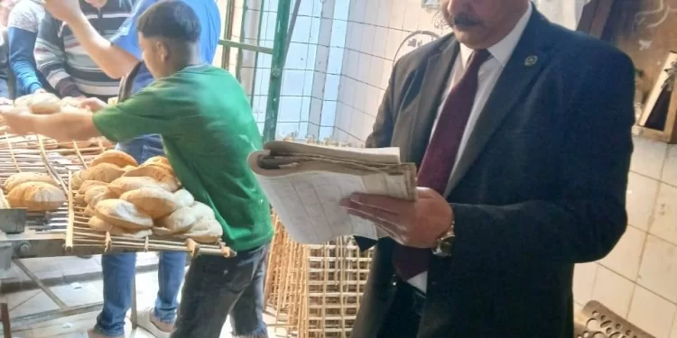 حملة تموينية بالمنوفية: ضبط طن أعلاف مجهولة وتحرير 217 محضر مخالفة